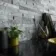 Ledgestone Sparkle Ice Grey 150x300