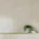 Sovereign Ivory Tile 800x800