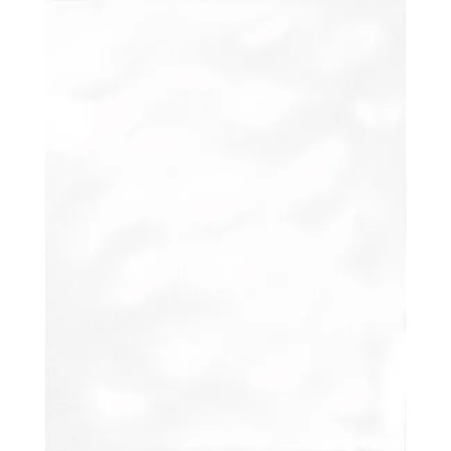 Timeless Bumpy White Gloss Tiles 250x200