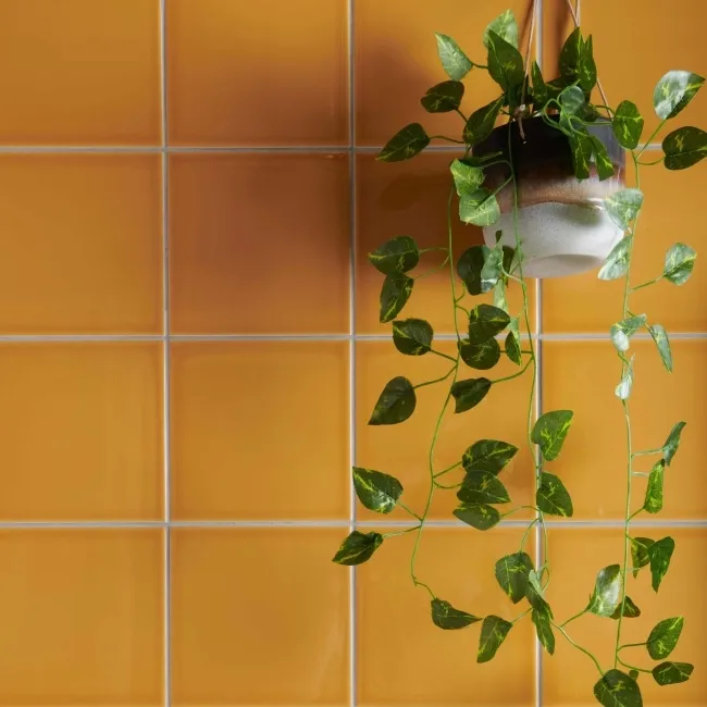 Modern Heritage Dijon Tiles