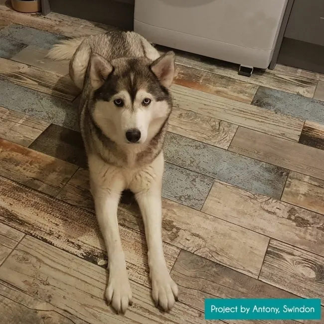 Vintage Blue Wood Effect Wall and Floor Tiles
