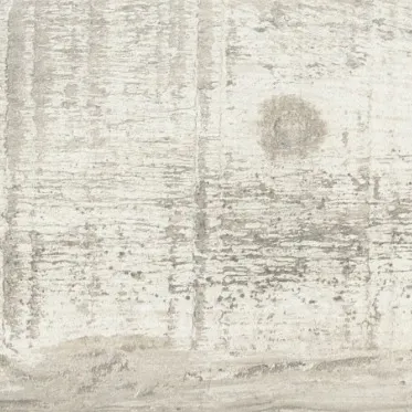 Roof White Matt Wall and Floor Tiles