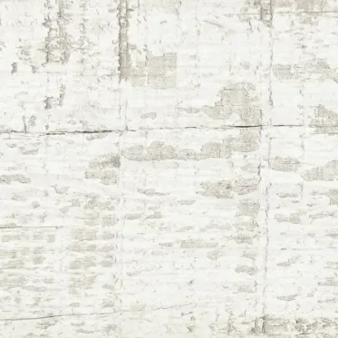 Roof White Matt Wall and Floor Tiles