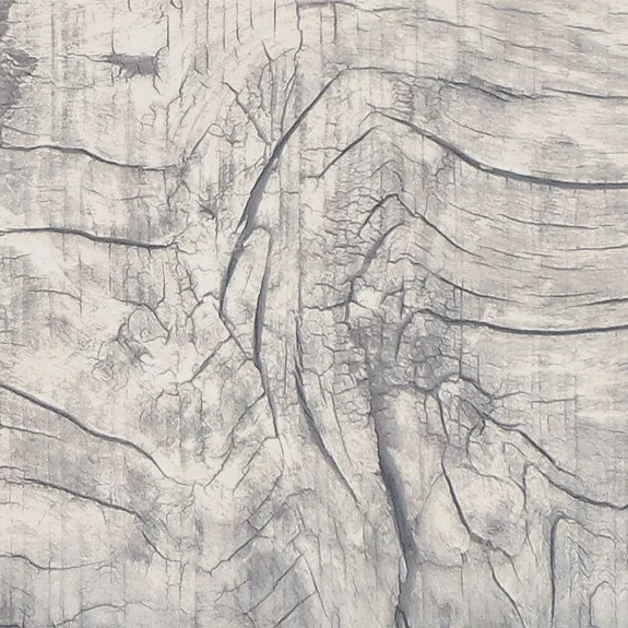 Vintage Multi Coloured Wood Effect Matt Porcelain Wall and Floor Tile