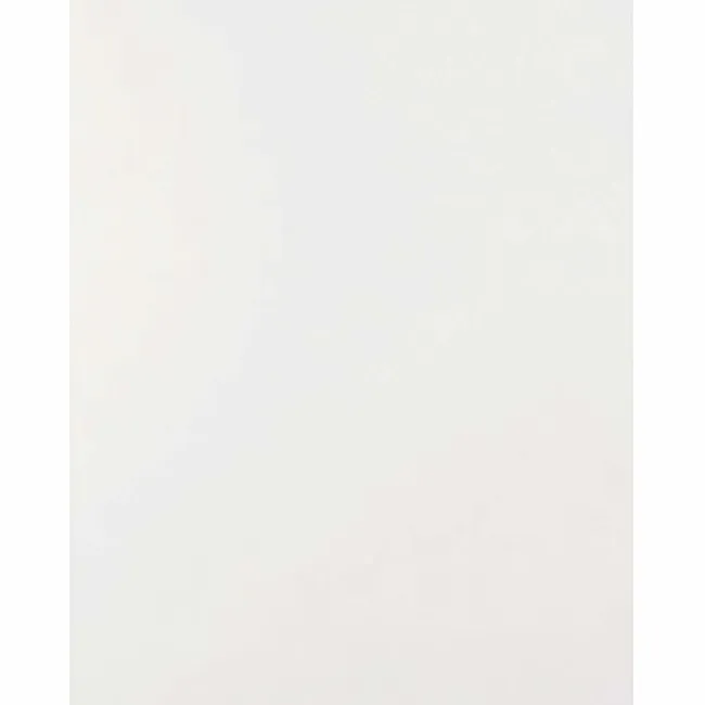 Timeless Matt White Flat Tiles 250x200