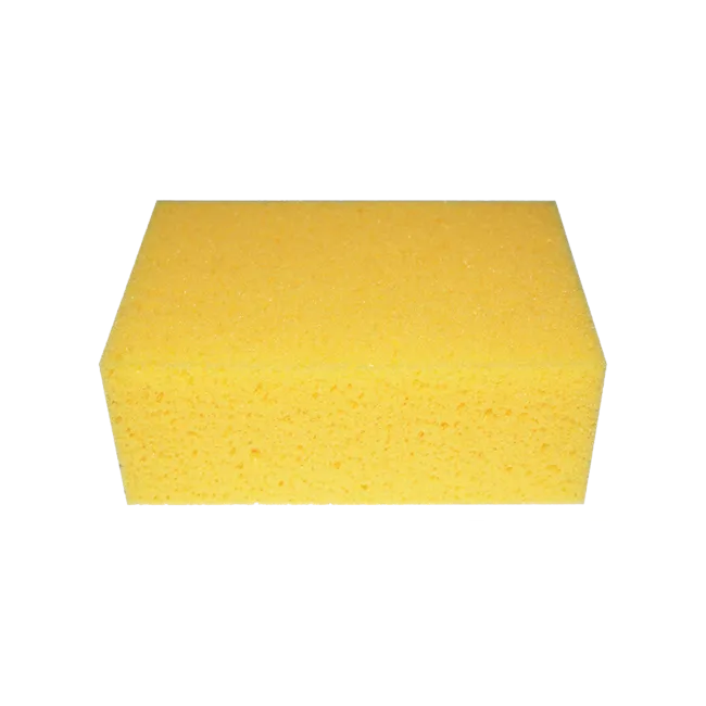 PROFESSIONAL HYDRO SPONGE