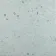 Terrazzo Light Blue