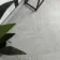 Star Wood Alpine Wood White Oak Wood Effect Tile
