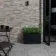 Pompeya Beige