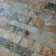Pompeya Beige