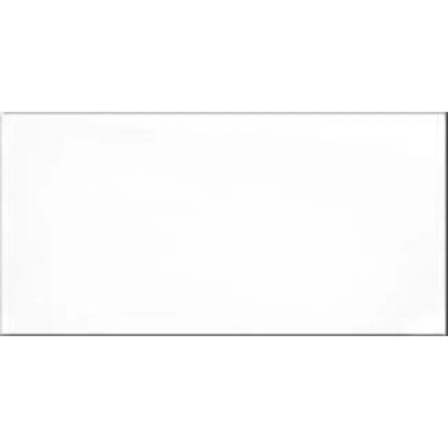 Liso Blanco Mate 150x75