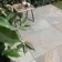 Unaway Natural Slate Effect 900x600x20mm Slabs