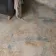 Bohemy Blue Patterned Tiles
