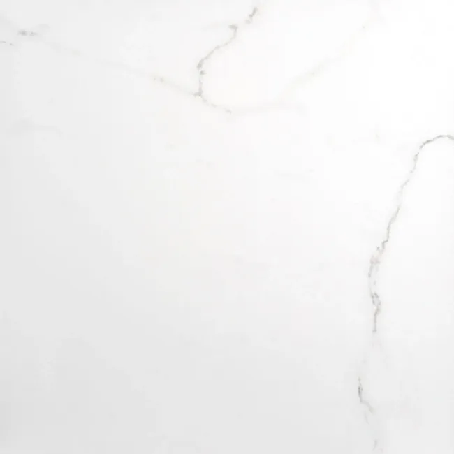 Palatina 60.5x60.5 Matt Marble Effect Tile