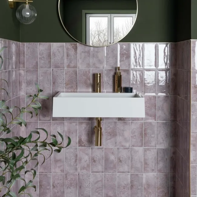 Clemence Orchid 20x10